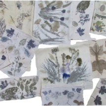 Végétales3 Végétales3